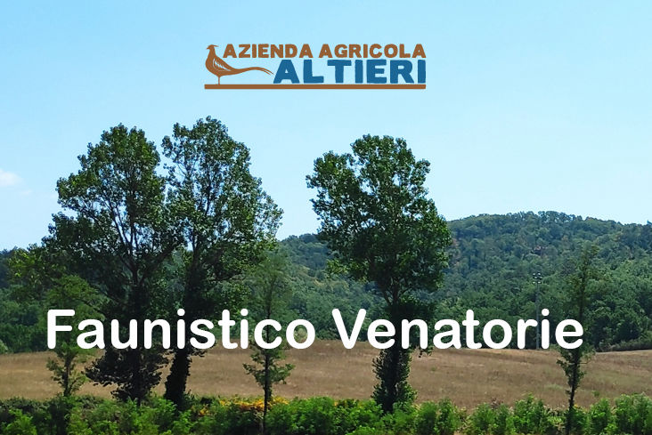 agricola altieri caccia in toscana cervo