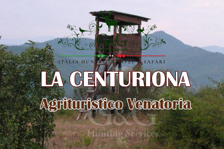 la centuriona caccia al capriolo in piemonte