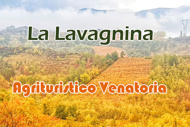 La lavagnina caccia al capriolo in piemonte