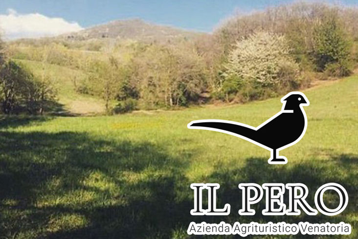 Il pero caccia al Cervo in toscana
